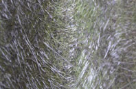 Huddlesford fibreglass roof work